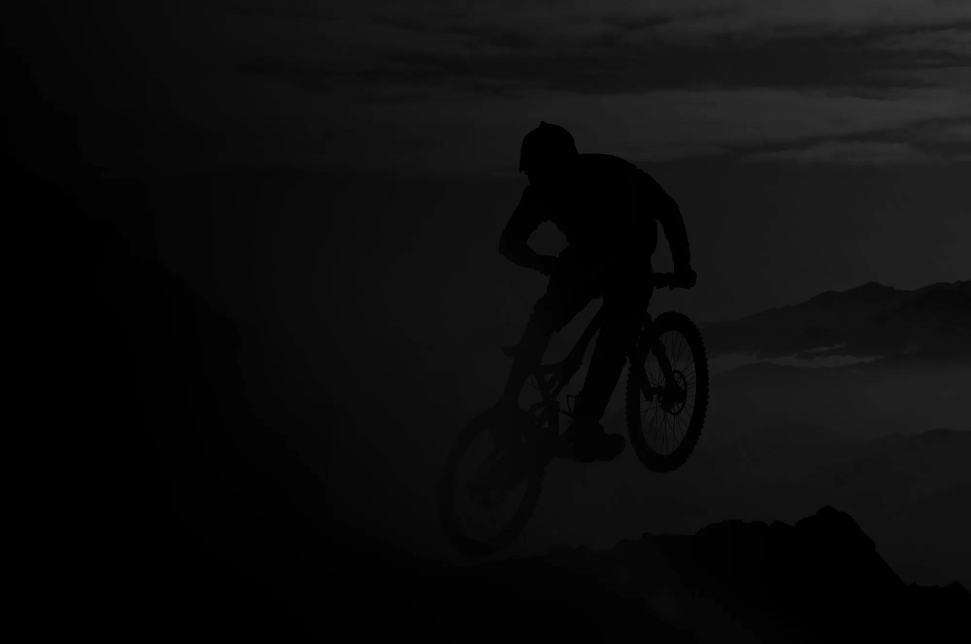 Weber Bike Branding